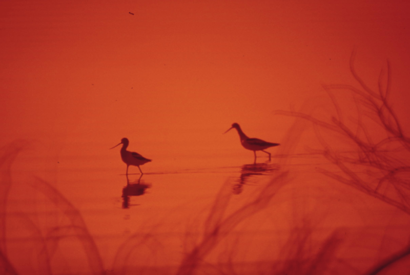 企业数字化转型从哪里开始？——定制开发的重要性